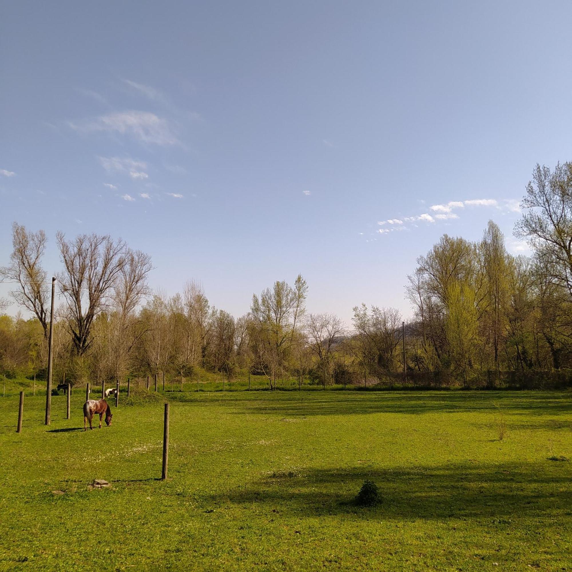 La Baia Dei Lupi Bed and Breakfast Rezzano Εξωτερικό φωτογραφία